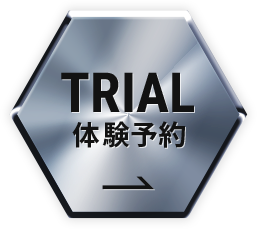 TRIAL LESSON