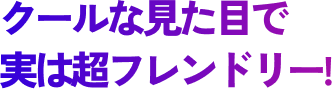 クールな見た目で実は超フレンドリー!