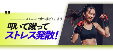 ストレスで食べ過ぎてしまう 叩いて蹴ってストレス発散!