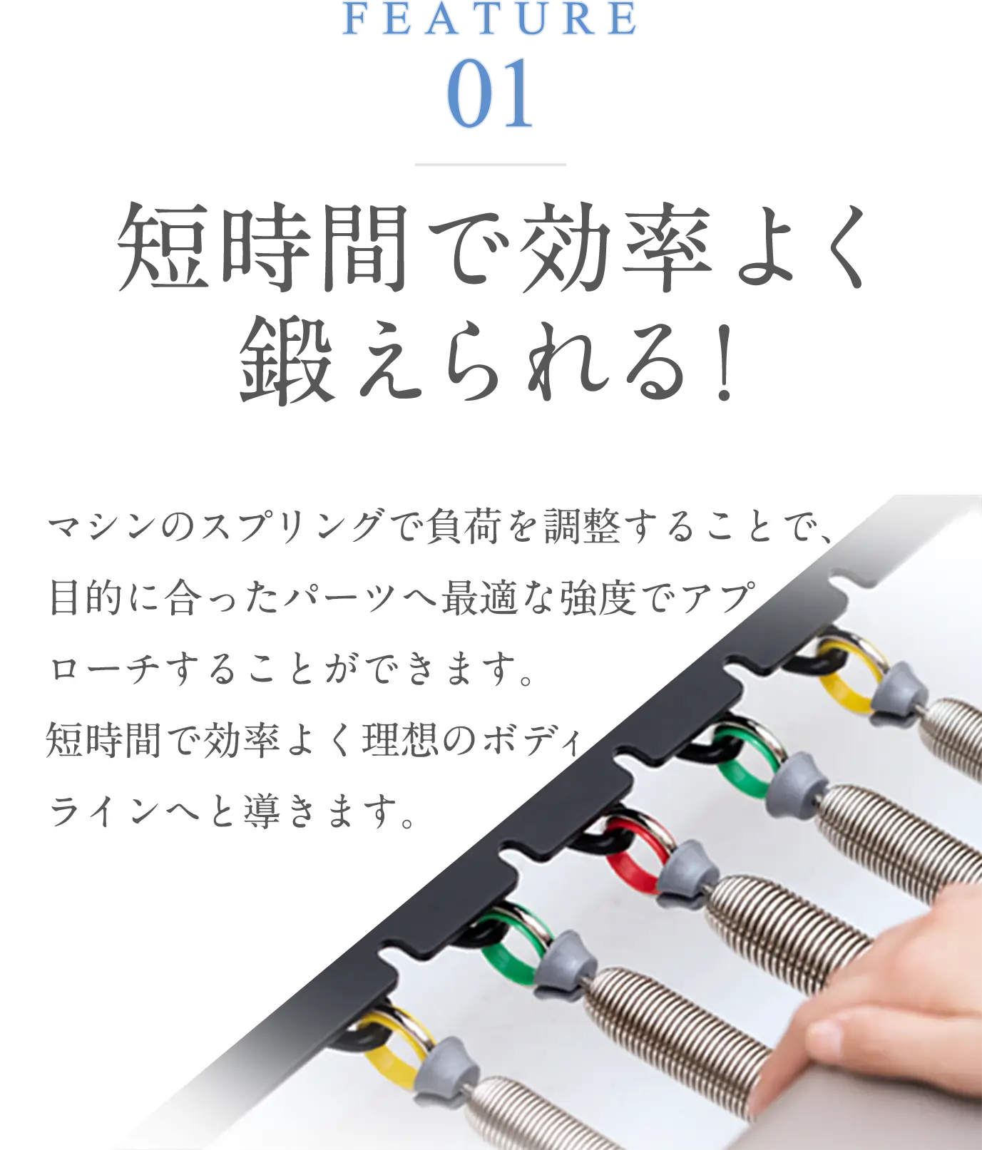 FEATURE01 短時間で効率よく鍛えられる！マシンのスプリングで負荷を調整することで、目的に合ったパーツへ最適な強度でアプローチすることができます。短時間で効率よく理想のボディラインへと導きます。