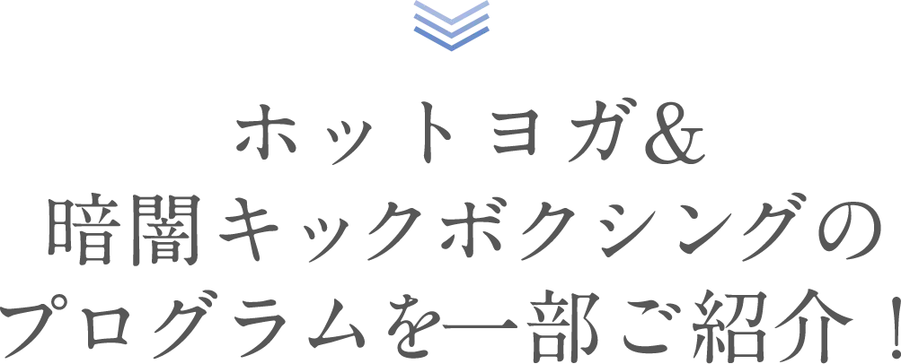 レッスン数30種類以上！ホットヨガプログラムの一部をご紹介