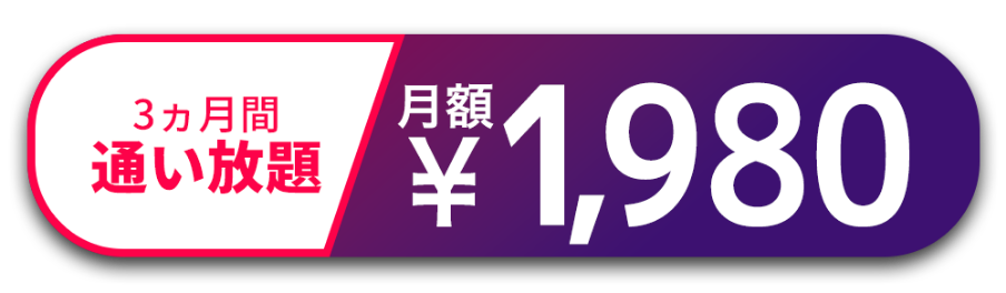 3カ月間通い放題 月額￥1,980